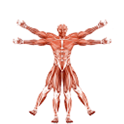 Dr. Muscle logo